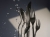 dark-wmf-boston.jpg